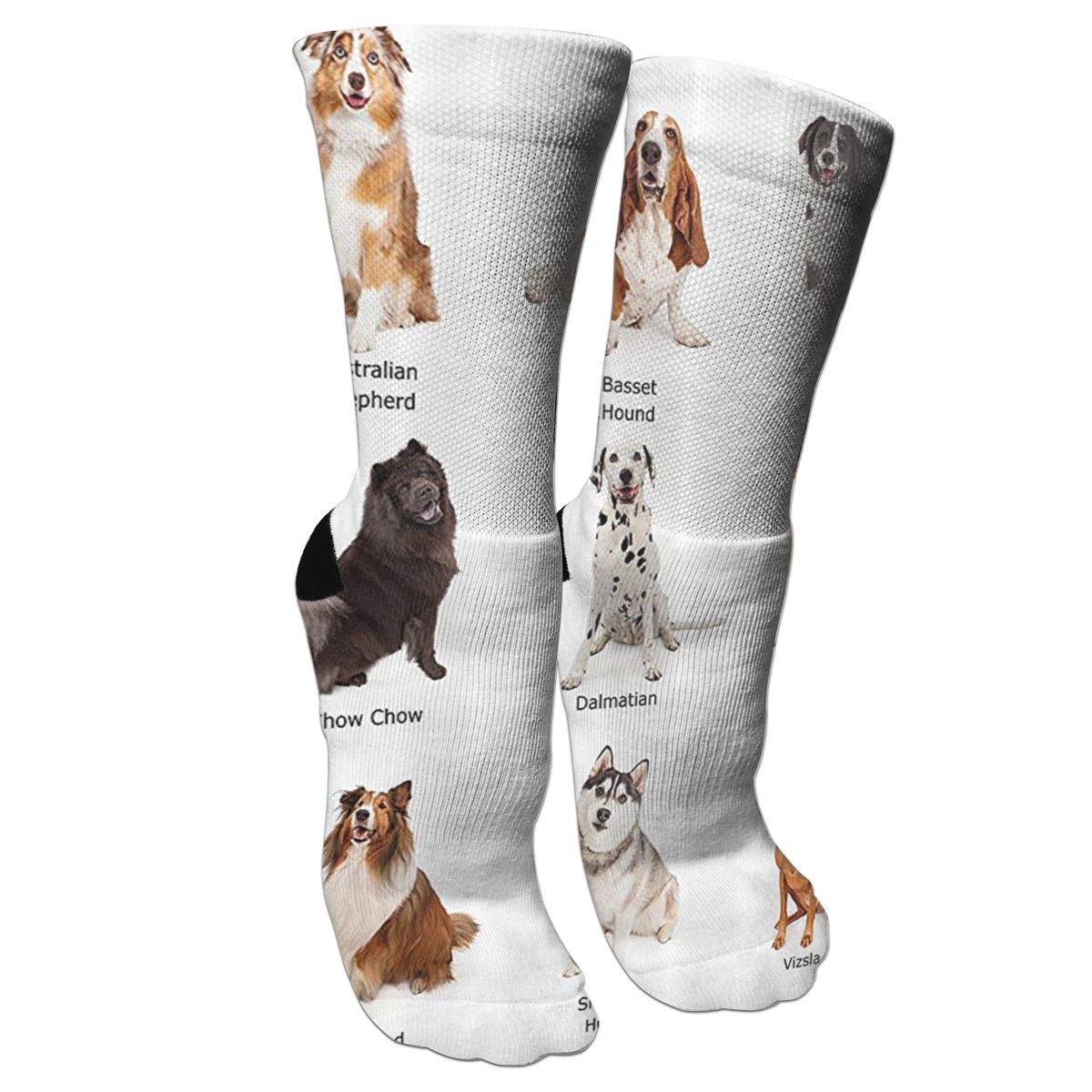 Pet Party Custom Socks - fasrtemplates